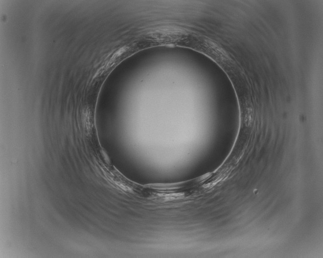 X0000069391108200605150936