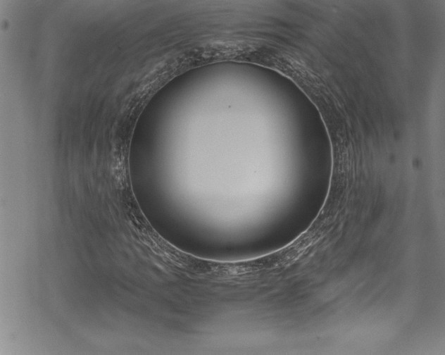 X0000069391109200605150936