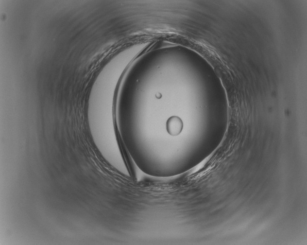 X0000069391110200605150936