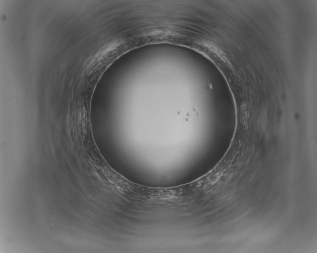 X0000069391111200605150936