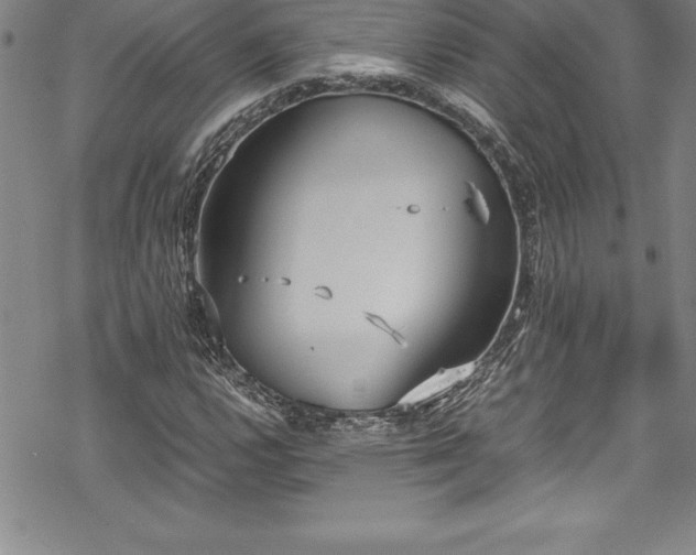 X0000069391112200605150936