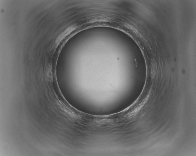 X0000069391113200605150936