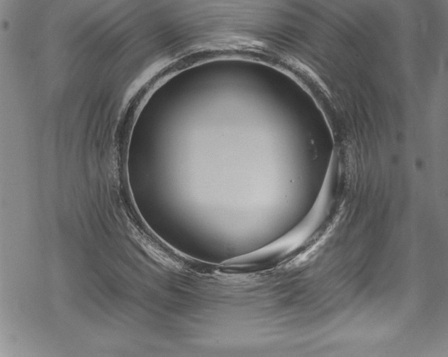 X0000069391114200605150936