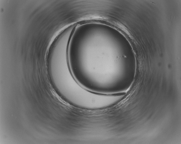 X0000069391116200605150936