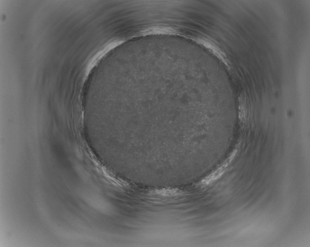 X0000069391117200605150936