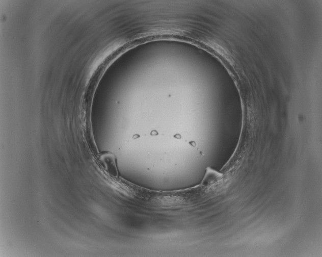 X0000069391119200605150936