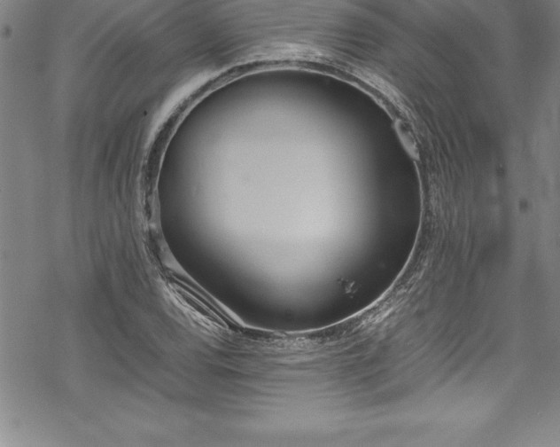 X0000069391120200605150936