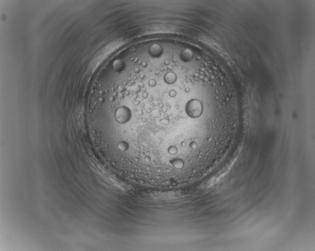 X0000069391121200605150936