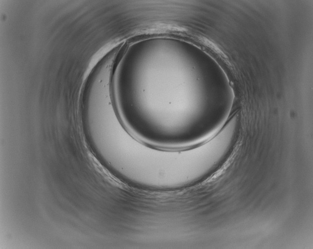 X0000069391122200605150936