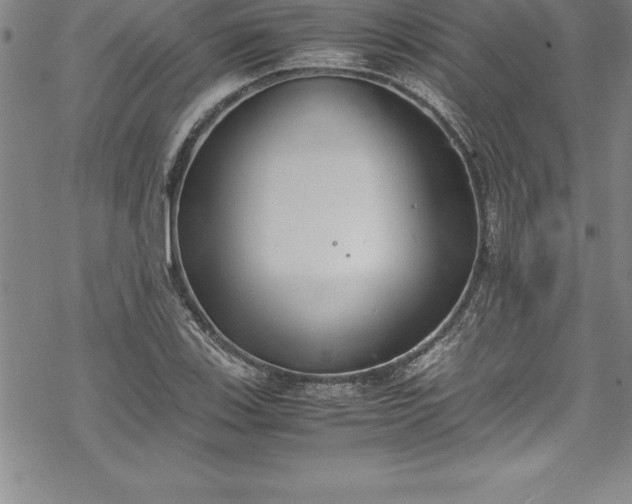 X0000069391123200605150936