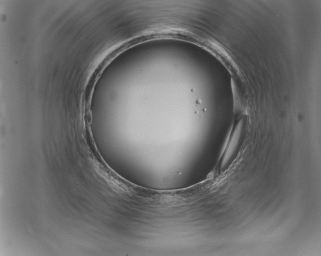 X0000069391124200605150936