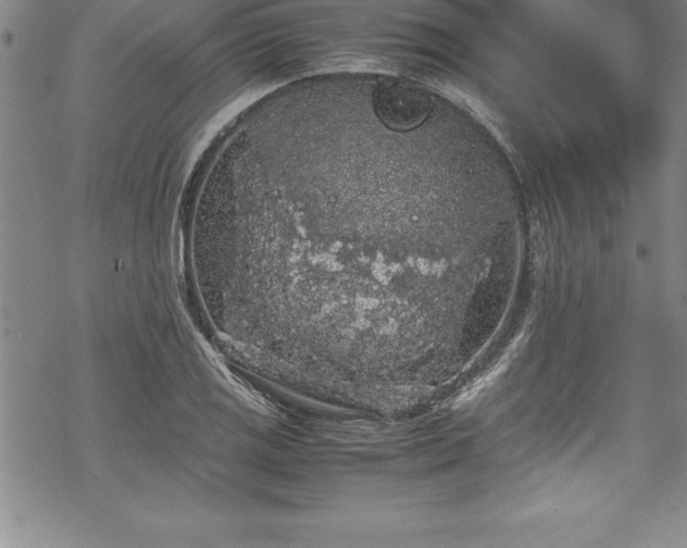 X0000069391125200605150936