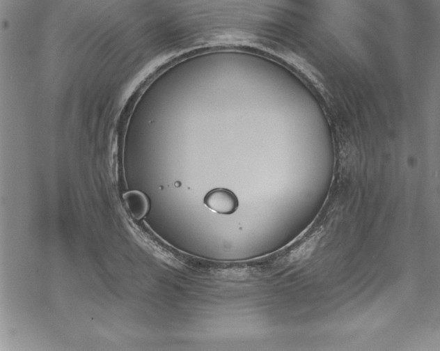 X0000069391126200605150936