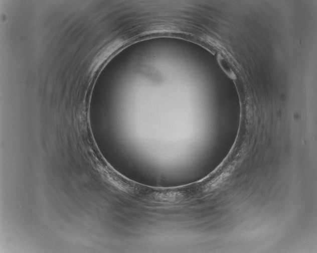 X0000069391129200605150936