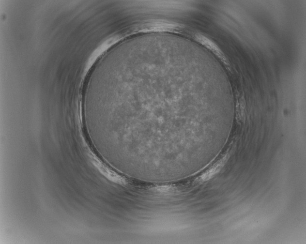 X0000069391130200605150936