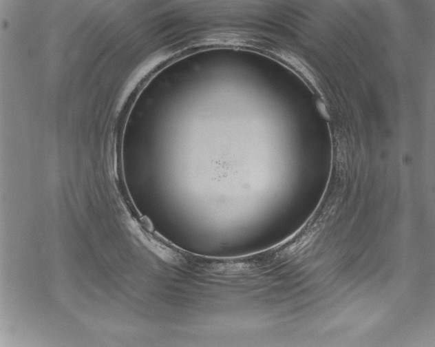 X0000069391131200605150936