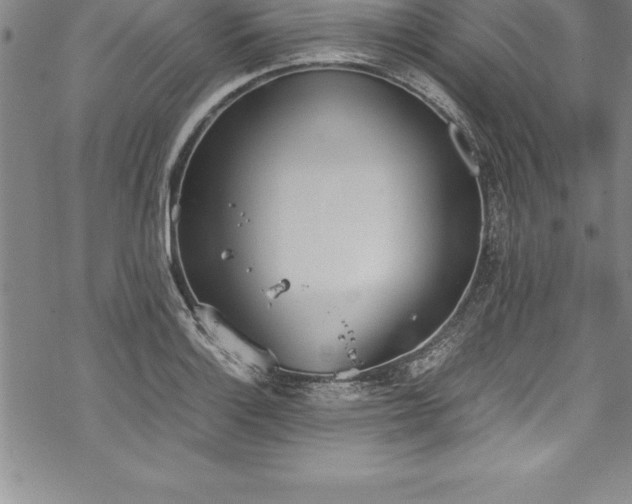 X0000069391132200605150936