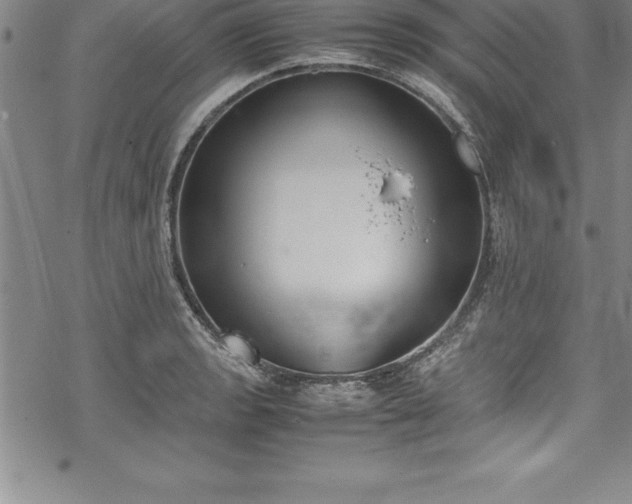 X0000069391133200605150936