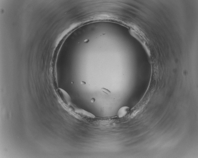 X0000069391134200605150936