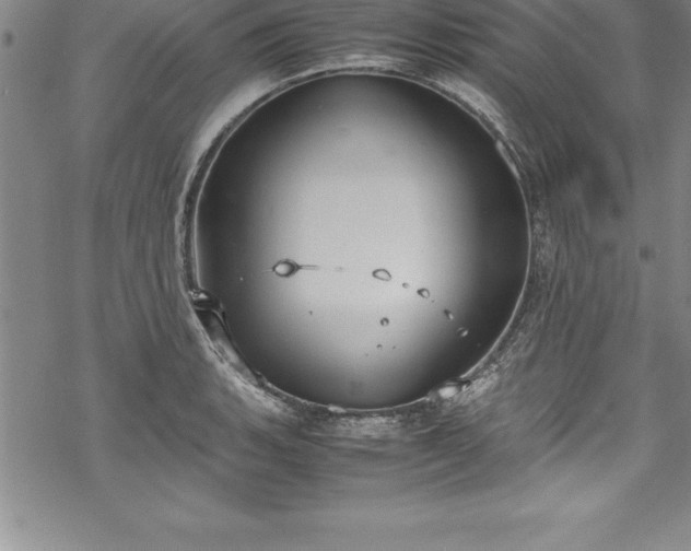 X0000069391135200605150936