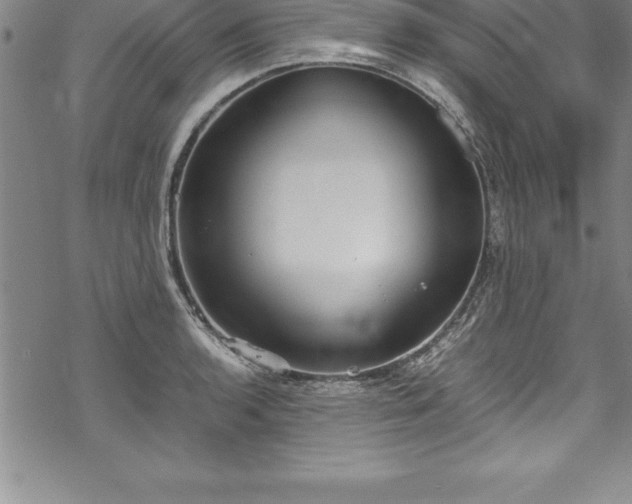 X0000069391136200605150936