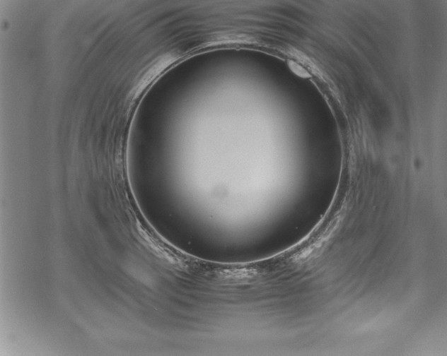 X0000069391137200605150936