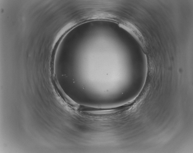 X0000069391138200605150936