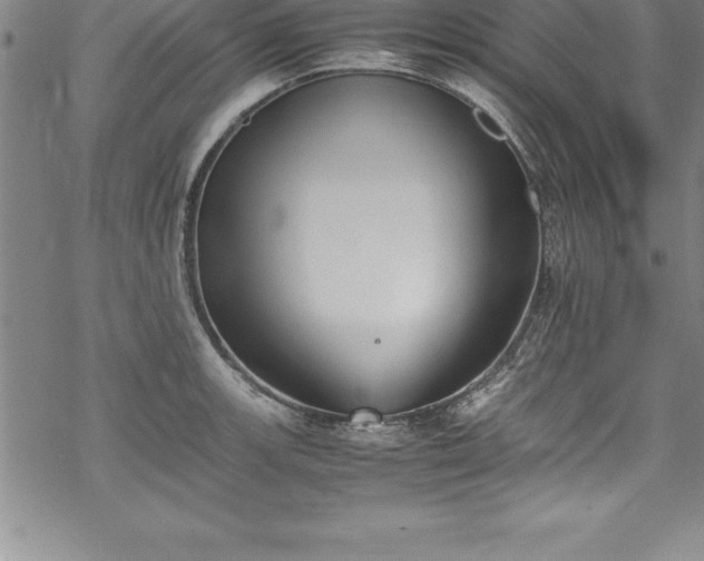 X0000069391139200605150936