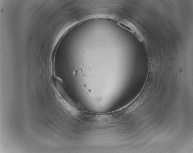 X0000069391140200605150936