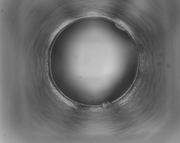 X0000069391142200605150936