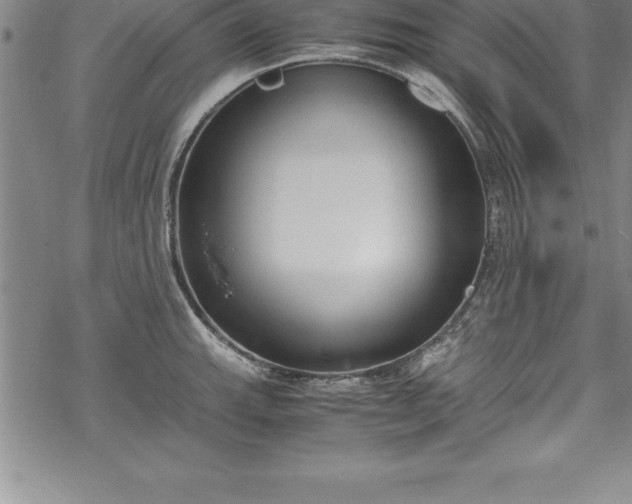 X0000069391143200605150936