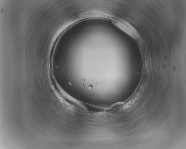 X0000069391144200605150936