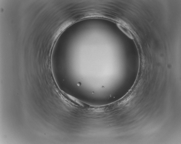 X0000069391145200605150936