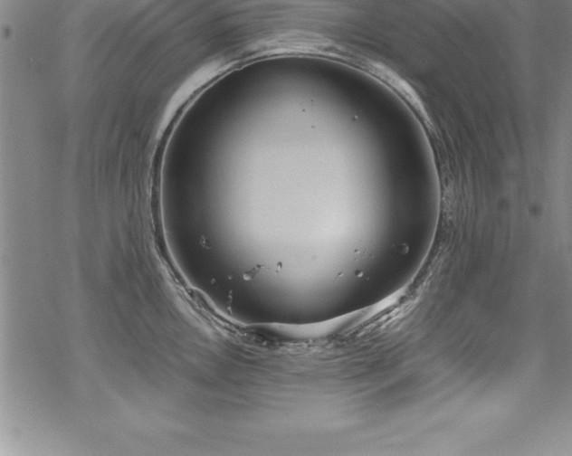 X0000069391146200605150936