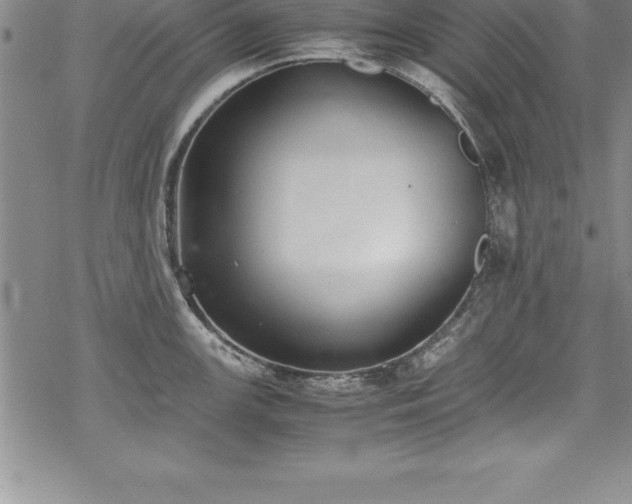 X0000069391147200605150936