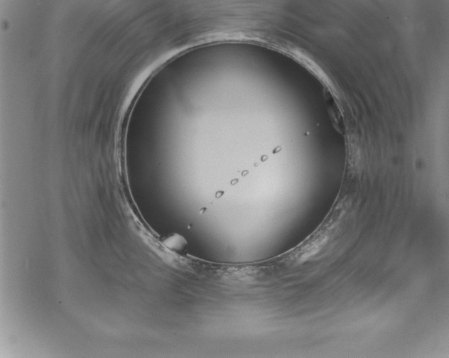 X0000069391148200605150936