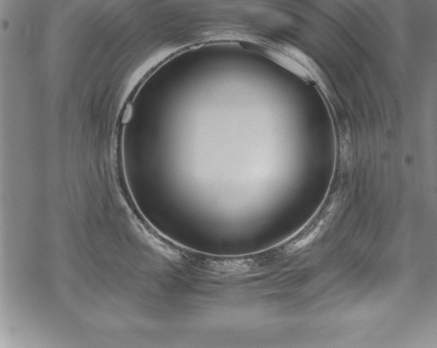 X0000069391149200605150936