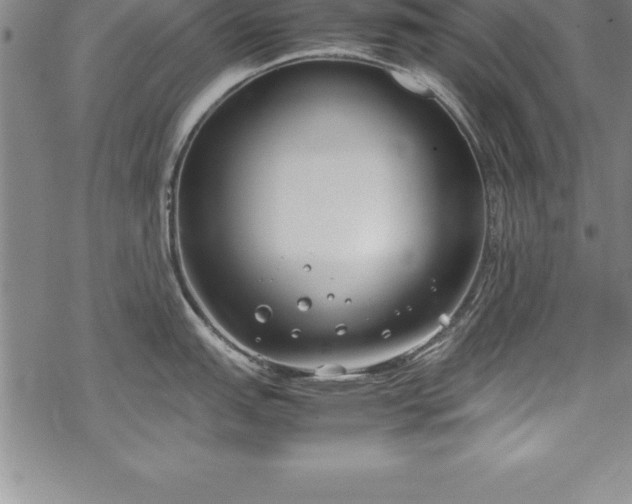 X0000069391151200605150937