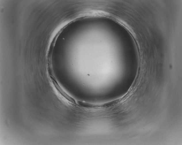 X0000069391152200605150937