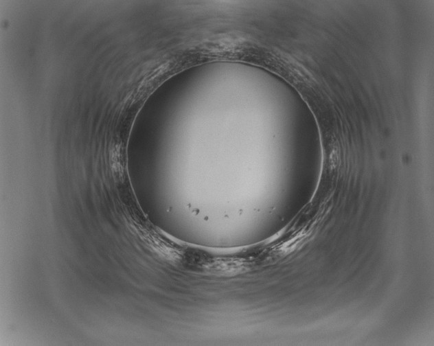 X0000069391156200605150936