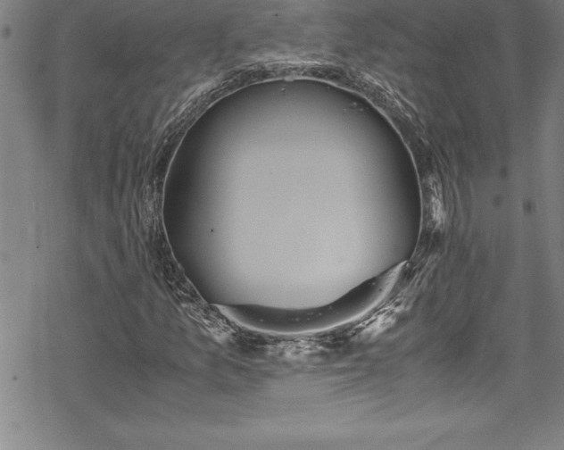 X0000069391157200605150936