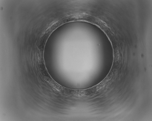 X0000069391158200605150936