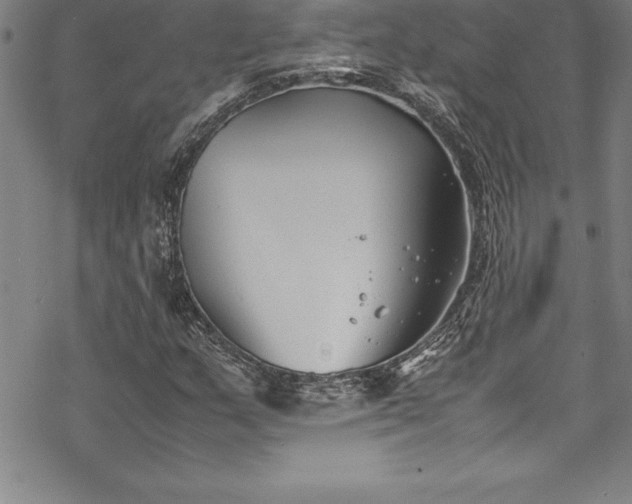 X0000069391159200605150936