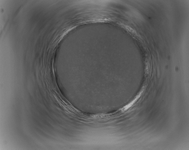 X0000069391161200605150936