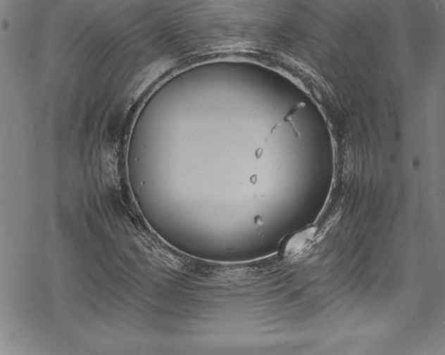 X0000069391162200605150936