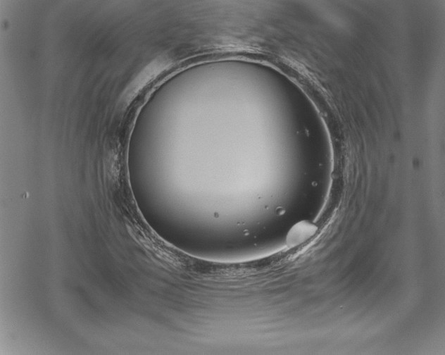 X0000069391163200605150936