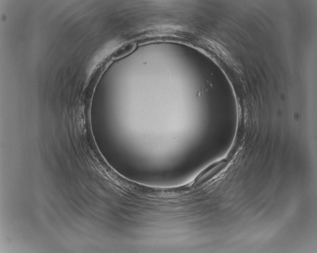 X0000069391164200605150936