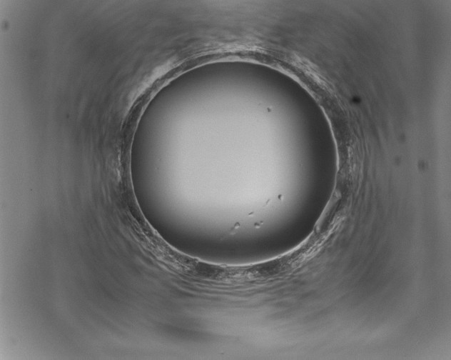 X0000069391165200605150936