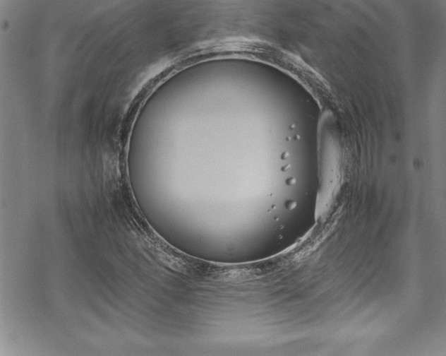 X0000069391166200605150936