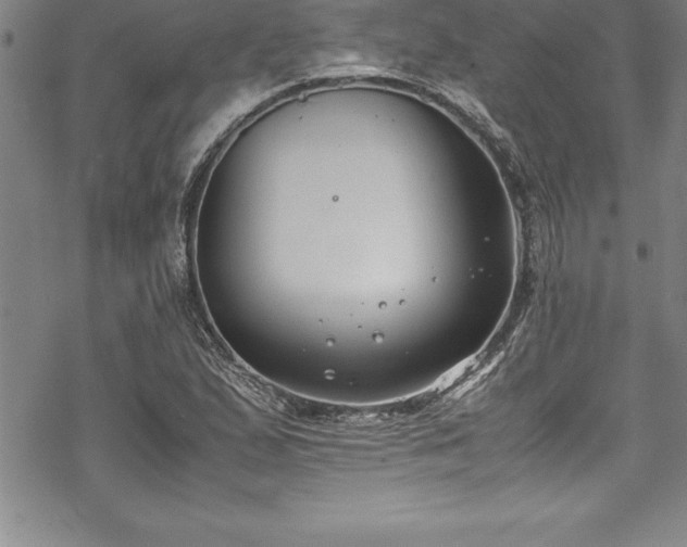 X0000069391167200605150936